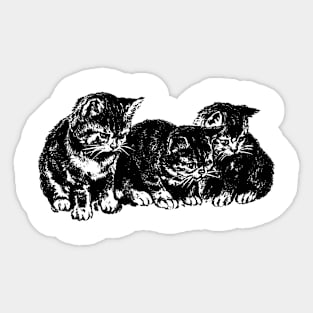 kittens Sticker